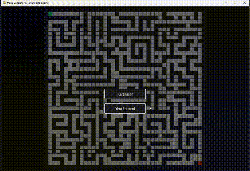 maze gif